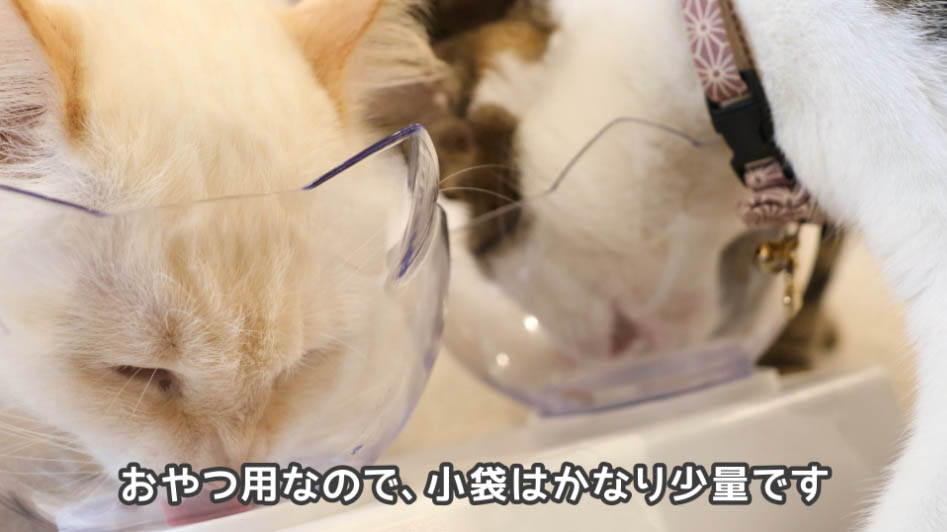 食べて検証！コンボのキャットフードは猫に安全なのか？ - ねことぼく